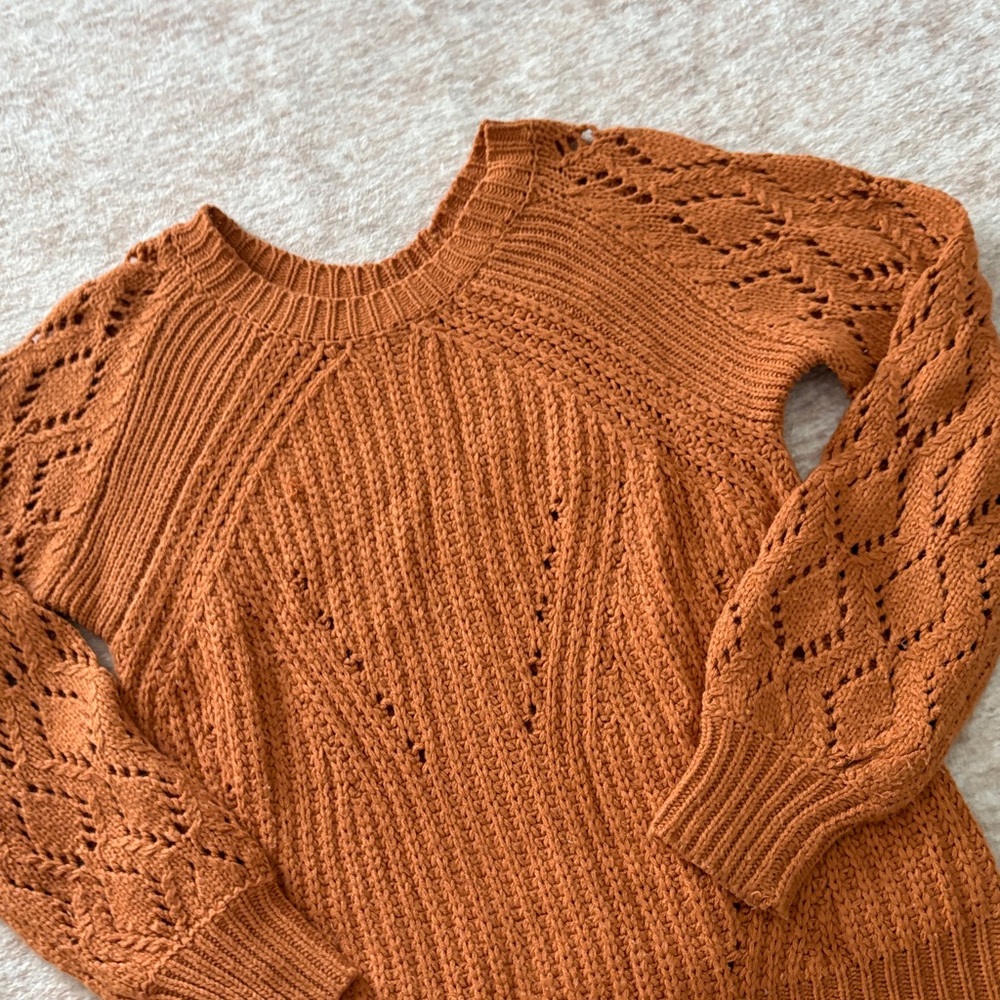 Entro Women's Knit Sweater in Warm Brown